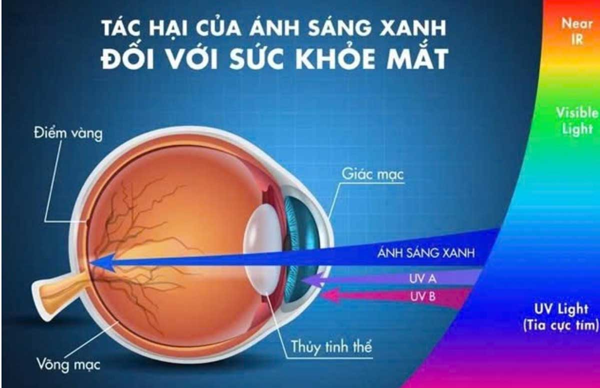 Ảnh hưởng của ánh sáng xanh đến giấc ngủ & sức khỏe ra sao?